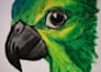 create custom art, sketches, paintings and calligraphy